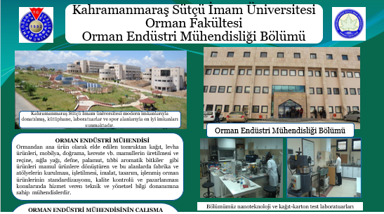 Orman Endüstri Mühendisliği